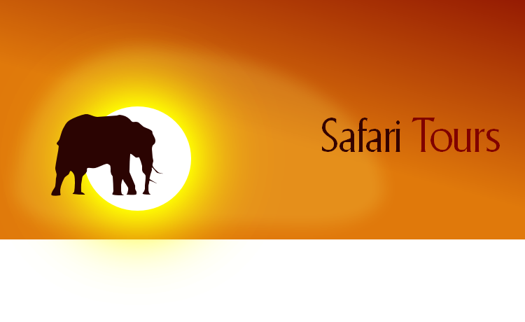 Safari Tours